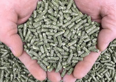 Rabbit Feed Plant Design and Commissioning