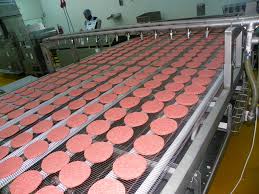 Nabil- hybrid protein production facilities